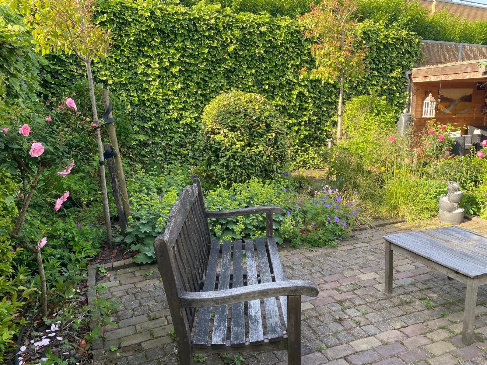gallery-38