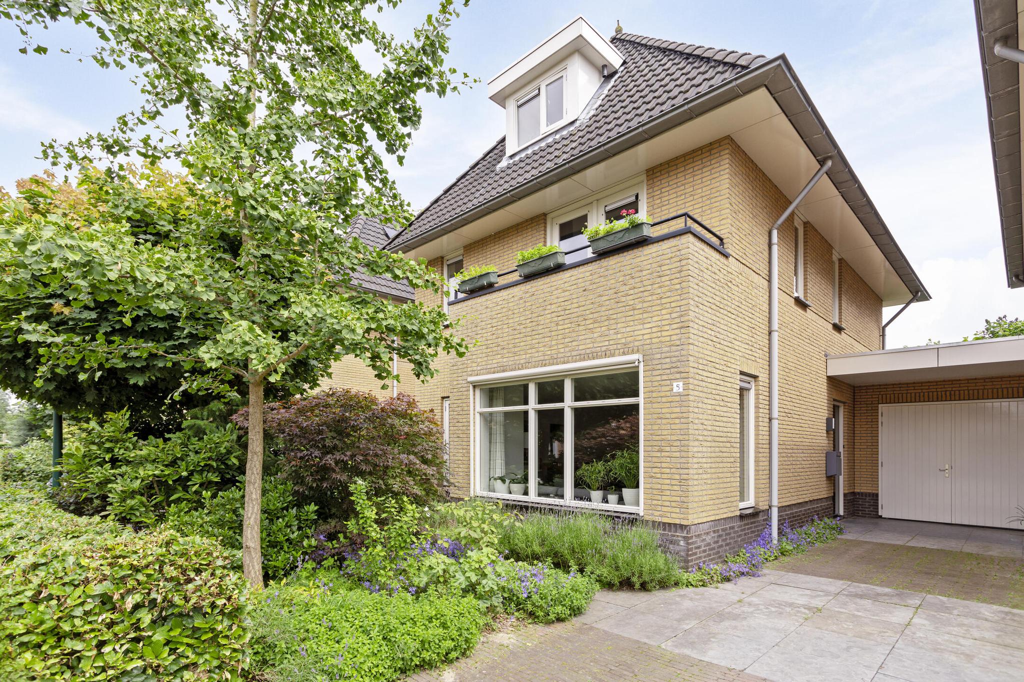 gallery-0