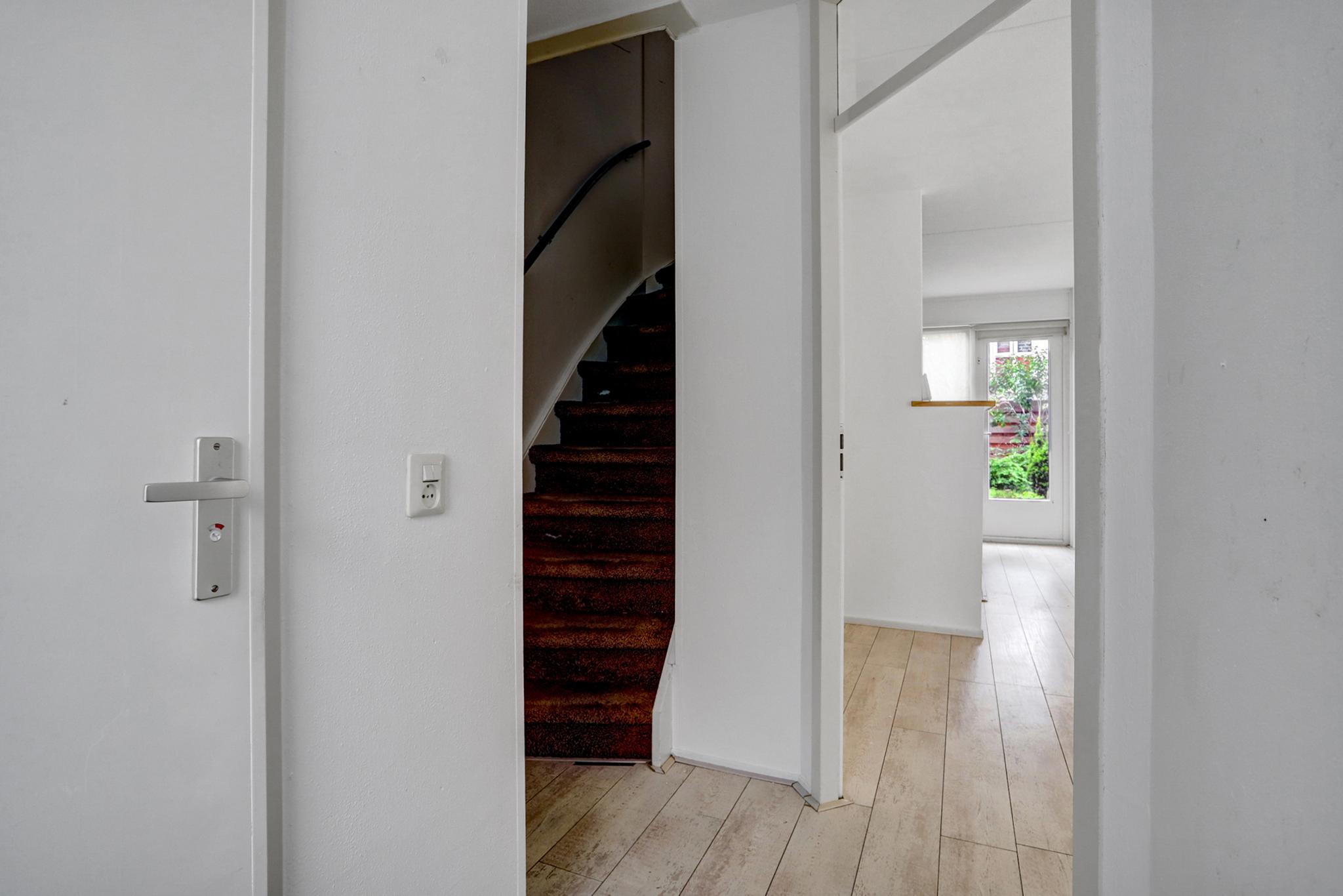 gallery-6